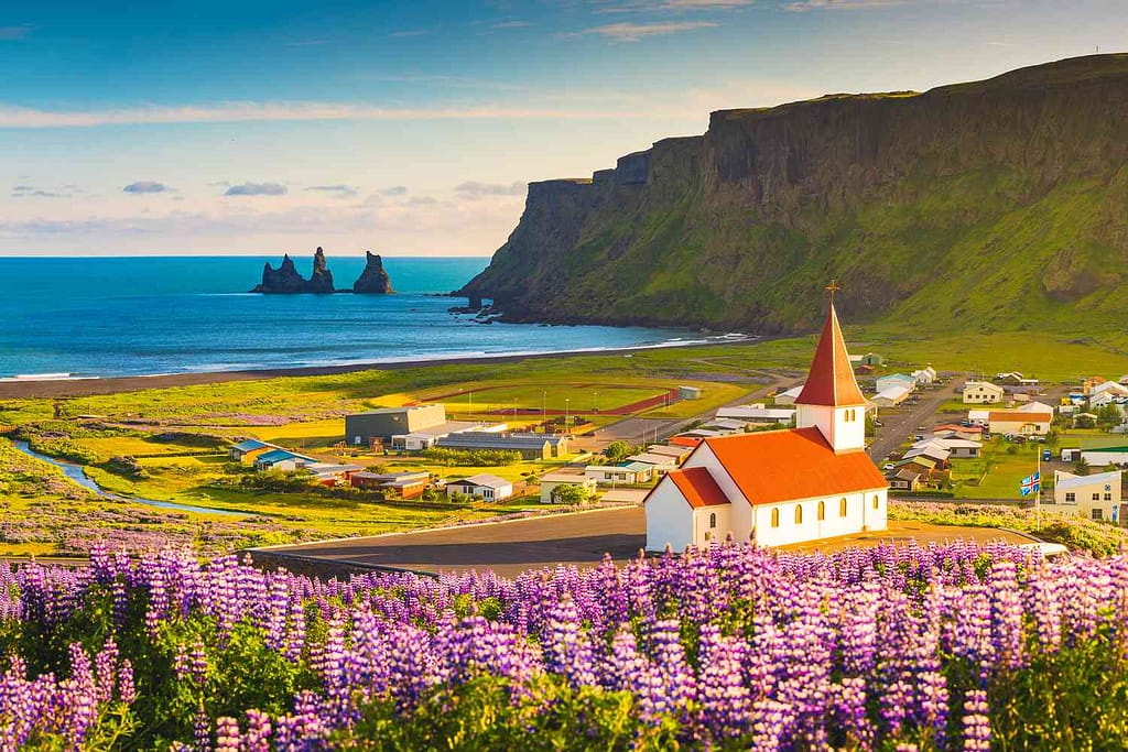 The Beautiful View of Iceland with bungalow houses and purple flowers and a blue lake