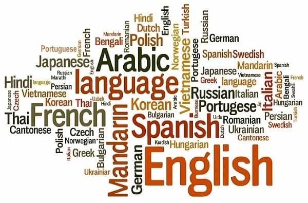 Top 10 Most Profitable Languages to Learn For the Future