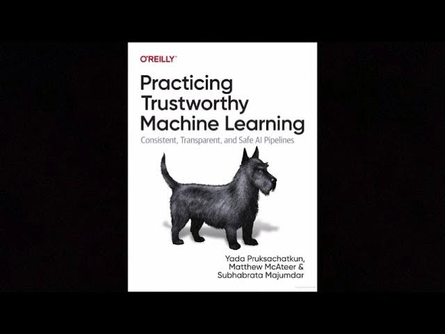 The Book:  Practicing Trustworthy Machine Learning by Yada Pruksachatkun, Matthew Mcateer, and Subho Majumdar. 