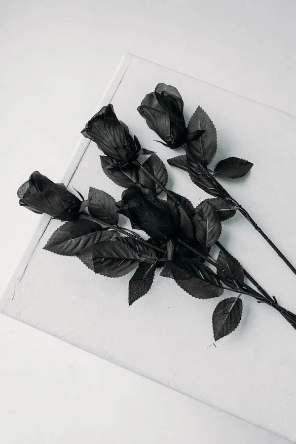 What Does It Mean To Be A Minimalist? 10 What Does It Mean To Be A Minimalist?: You will deprive yourself of so much